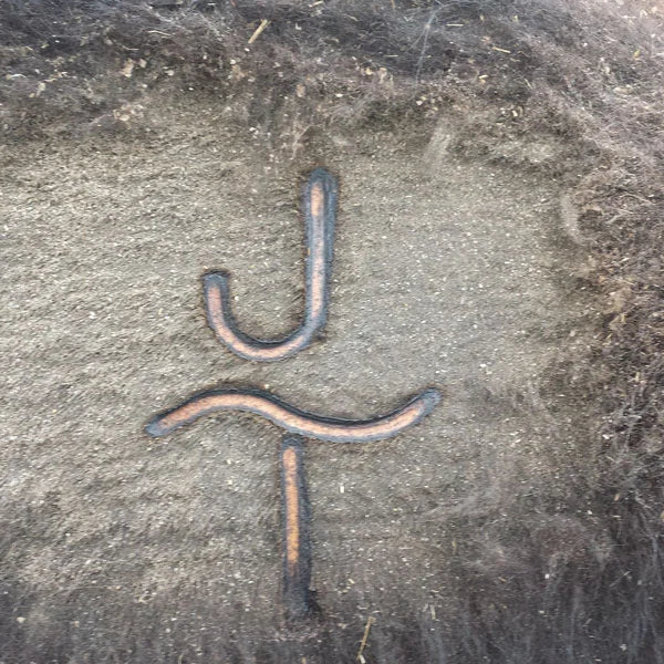 Electric Branding Irons