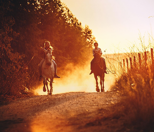 Livestock Branding Iron Guide: Design Tips and Best Practices