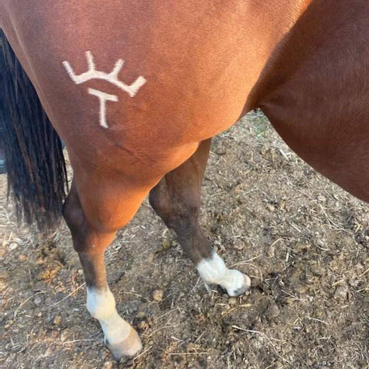 What Is a Branding Iron? A Rancher's Guide to Types & Uses