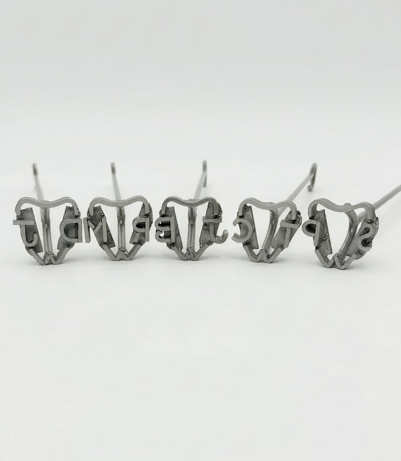 Custom Steak Branding Iron